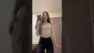 Нападение кота на человека  