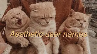 AESTHETIC USERNAMES 2020
