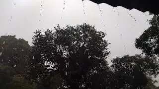 Rainy scenery in darjeeling