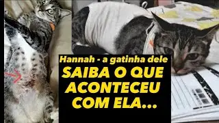 O último EPISÓDIO de 