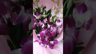 14 June 2023