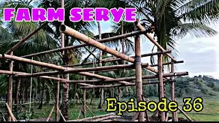 Farm Serye Episode 36 Update sa mga pananim at bahay Kubo #becomingfarmer