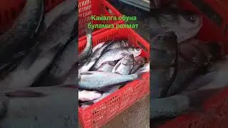 31 августа 2024 г.