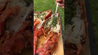 Langosta al chimichurri #shorts #lobster