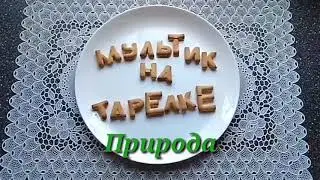 Мультик на тарелке Берегите природу