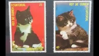 Cats stamps collection