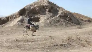 Бричмулла