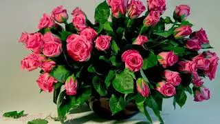 🌷С ПРАЗДНИКОМ 8 МАРТА МИЛЫЕ ДАМЫ!!!🌷
