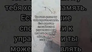Суть имени Любовь ❤️ пишите, если нужен личный разбор 😇 #нумерология #любовь  #значениеимени