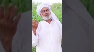 jag faqeera jag wela sargi da awaz ehsan ullah warraich #folkmusic #kalam