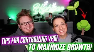 Top Tips To Maximize Growth With VPD!