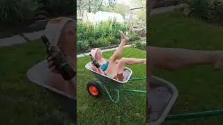 юмор 