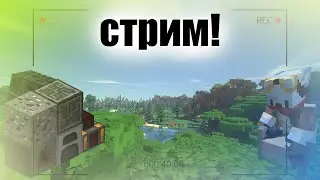 1 стрим на MineTime