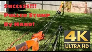 #7 Pulling Stumps With Snatch Blocks By Hand!  50:1 Mechanical Advantage Needed [4K 60FPS]