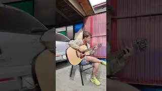 Сбила машина пока играл на гитаре Цоя