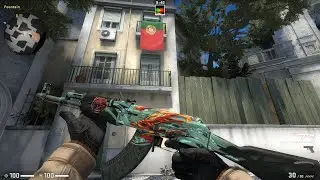 CSGO AK-47 Aquamarine Revenge Well Worn Requested by Viewer