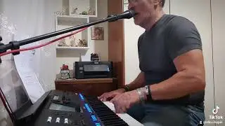 Can't Help Falling in Love ( cover)