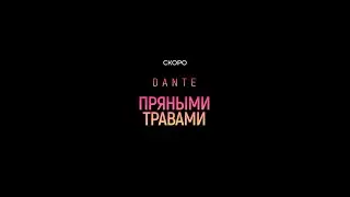 Dante - Пряными травами (Teaser) 6+