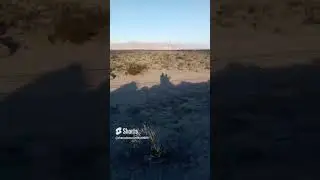 Disappearing Act