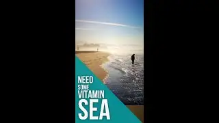 Anyone else need some Vitamin SEA! #shorts