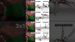 Ultimate Abs Workouts: From Beginner to Advanced - Get Ripped Fast!