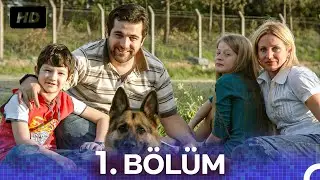 Pulsar 1. Bölüm | Harika Köpeğimiz: Pulsar
