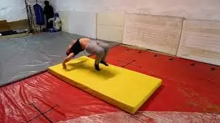 Колесо и кульбит (Степан, 8лет)