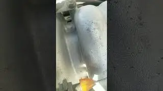 Что купил в этот раз