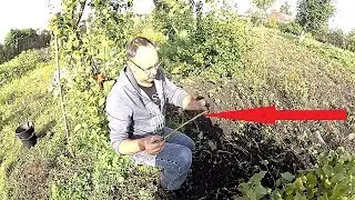 ГЕННАДИЧ#7