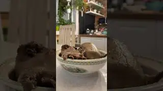 Утиный суп с домашней лапшой 🥣 