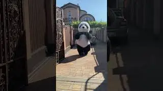 Амиго спешит на праздник #panda #umka #Амиго #Умка #dance #umkarostov #мишкаумка #амиго