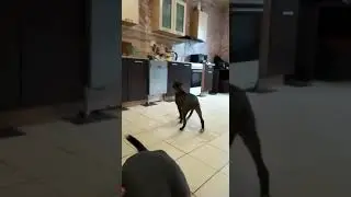 15 июня 2023 г.