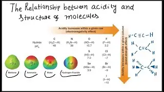 Structure and acidity| Effect of Electro-negativity, hybridization and inductive effect on acidity