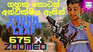 ගහක් 675 වතාවක් ලොකු කරලා බලමු | 675X Zooming A Plant | Shaun'sTalks | #shaunstalks  #chemistry