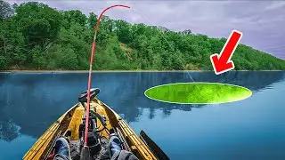 The ONLY Thing You Need To Know To Catch FISH ANYWHERE!