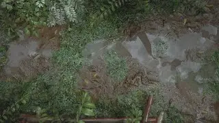 Unreal Engine 5 - Raining in Jungle part 2
