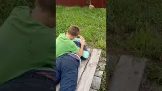 зомби апокалипсис