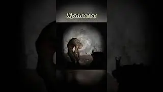 Коротко о Кровососе в Stalker!!! Кровосос в  Сталкер//Кто такие кровососы Сталкер