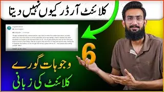 Why Client Does Not Give Us Orders (6 Main Reasons)