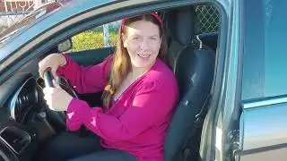 The Little Gray Car Story