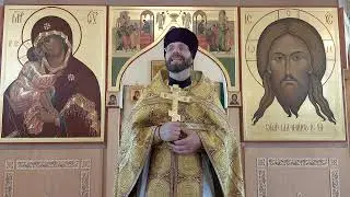 ЗАЧЕМ ГОСПОДЬ ПРИШЕЛ НА ЗЕМЛЮ. ЧУДО НАСЫЩЕНИЯ ХЛЕБАМИ 🍞. Проповедь. Димитрия 18.08.24