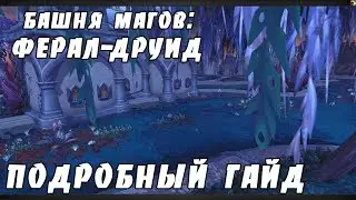 Башня магов: гайд по испытанию ферал-друида
