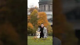 КАК Я СТАЛ ШЕРСТЯНЫМ БУДИЛЬНИКОМ #корги #коргипемброк #коргиспб