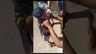 Viral Anak Kecil Gemes Lomba Agustusan Makam Kerupuk