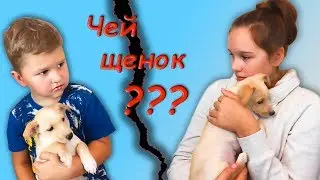 Где питомцы? Чей щенок? Саша и Игорь делят щенка
