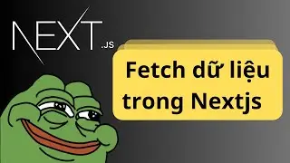 Các cách fetch dữ liệu trong Nextjs
