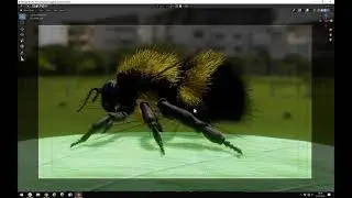Desktop 2020 01 31   10 34 40 01