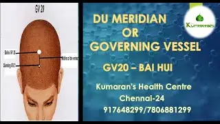 ACUPUNCTURE /DU 20 /FOR LOSS OF MEMORY/KUMARAN'S HEALTH CENTRE/ZOOM CLASS