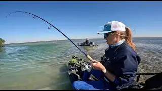 Exploring Lower Keys and mangroves using live Shrimp and Cut bait ( Early January ) - Ep. 4