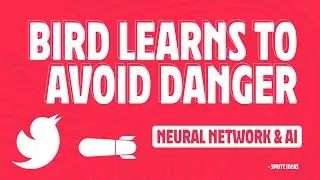 Bird learns to avoid danger automatically, using genetic algorithm, neural network & deep learning